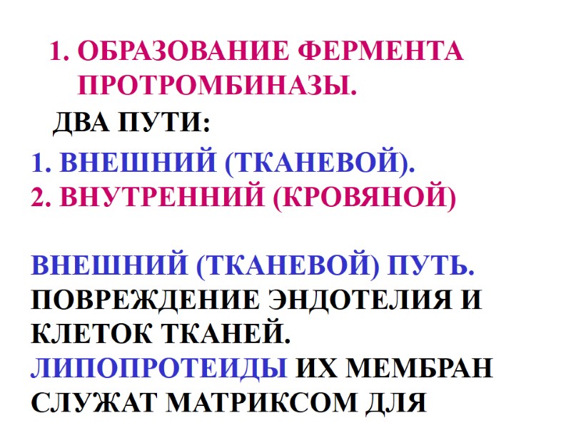 ОБРАЗОВАНИЕ ФЕРМЕНТА ПРОТРОМБИНАЗЫ. ДВА ПУТИ: ВНЕШНИЙ (ТКАНЕВОЙ).  ВНУТРЕННИЙ (КРОВЯНОЙ)  ВНЕШНИЙ (ТКАНЕВОЙ) ПУТЬ.